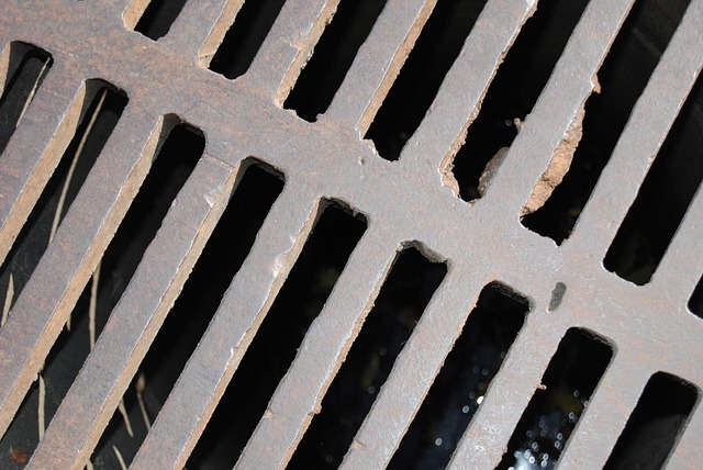 sewage cleanup