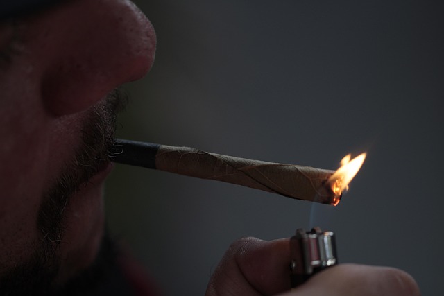 smoke odor removal
