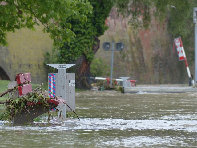 water damage mitigation