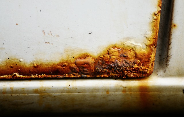 water damage mitigation