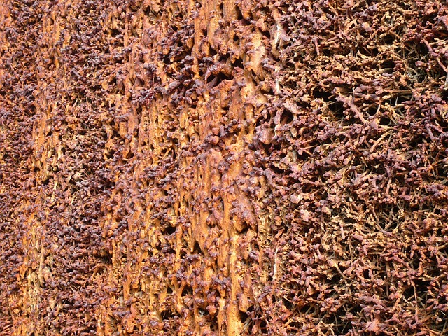 water extraction