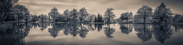 water restoration